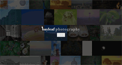 Desktop Screenshot of bayleafphoto.com